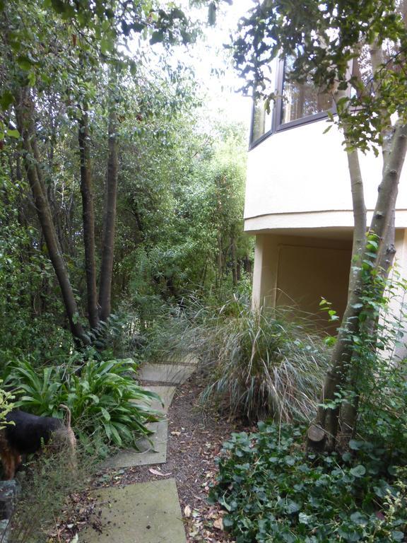 Oamaru House Bed & Breakfast Esterno foto